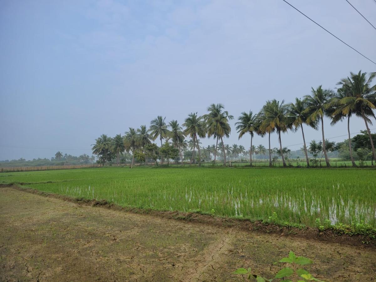 Tanjore Home Stay Thanjavur Exterior photo