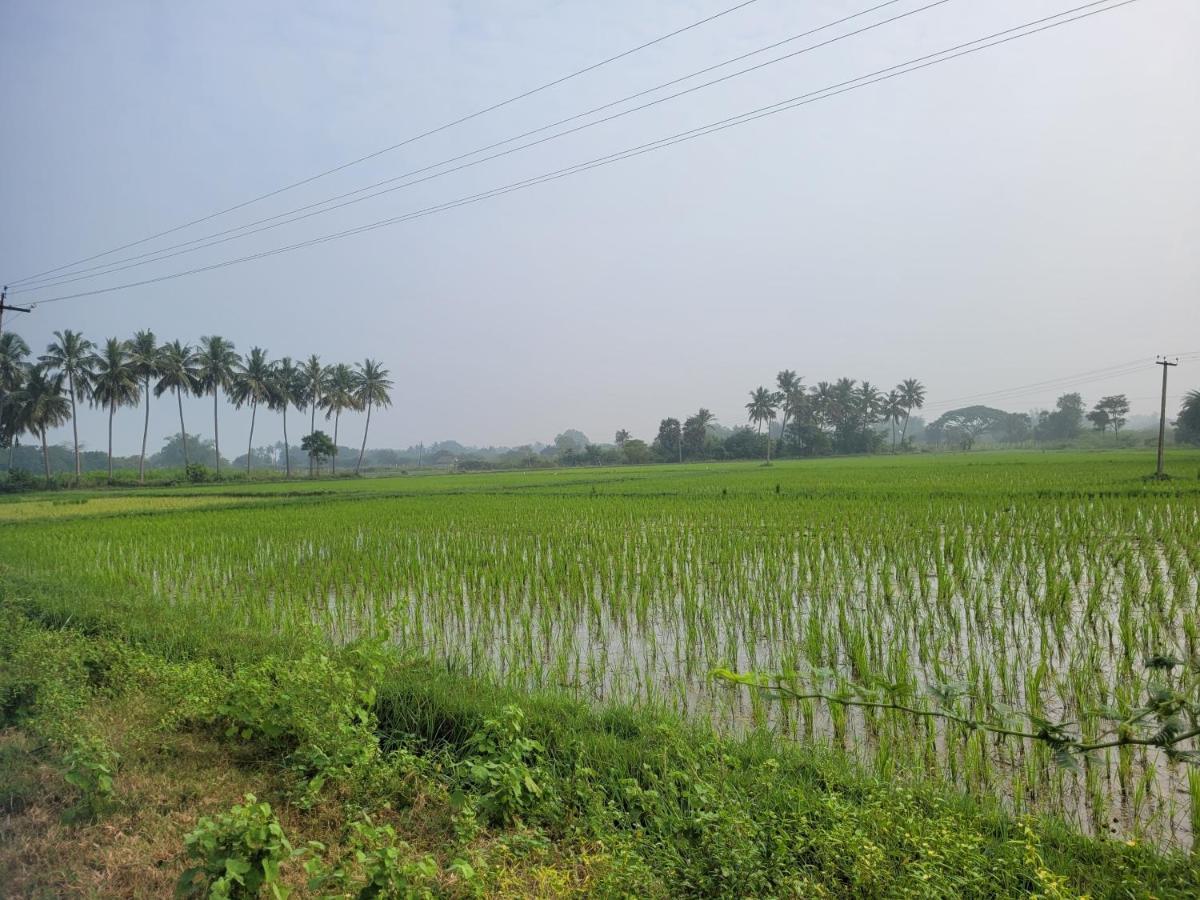 Tanjore Home Stay Thanjavur Exterior photo
