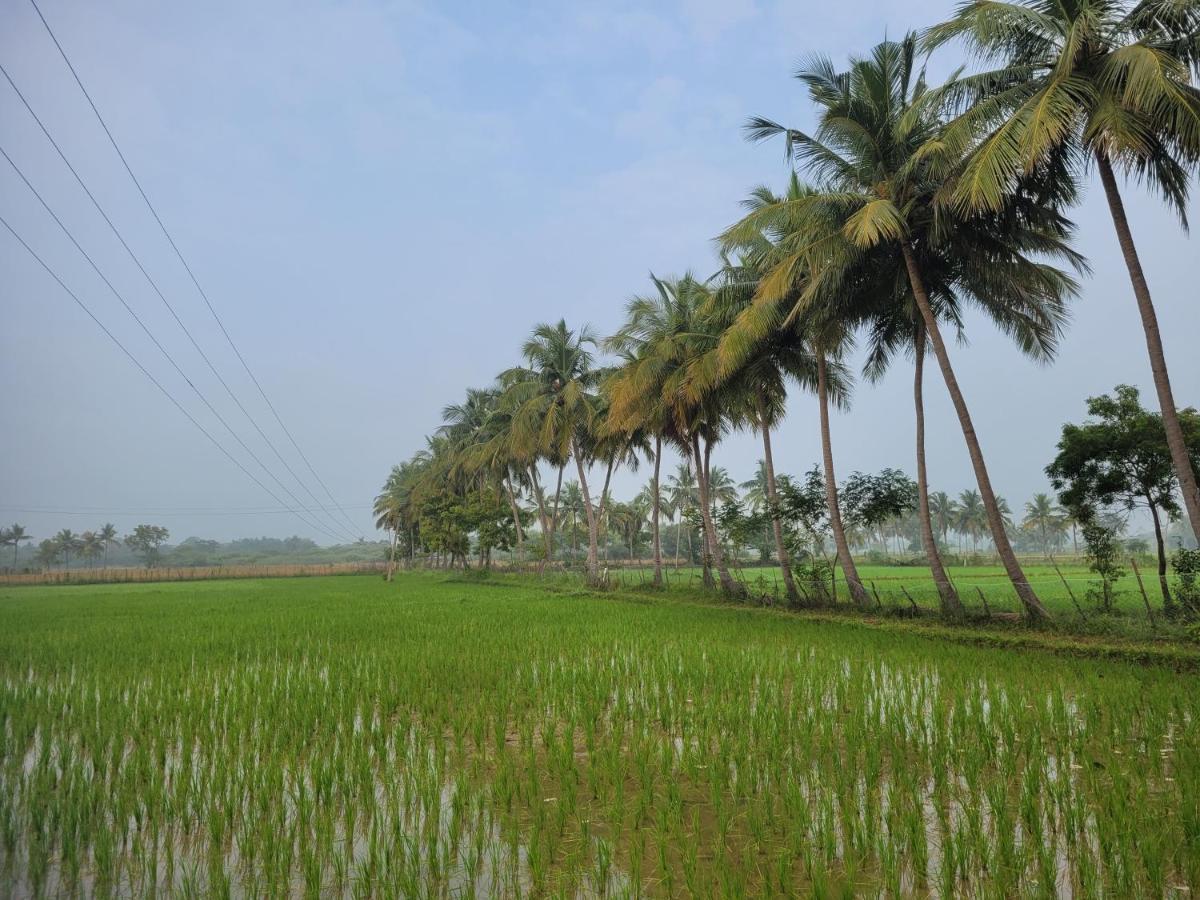 Tanjore Home Stay Thanjavur Exterior photo